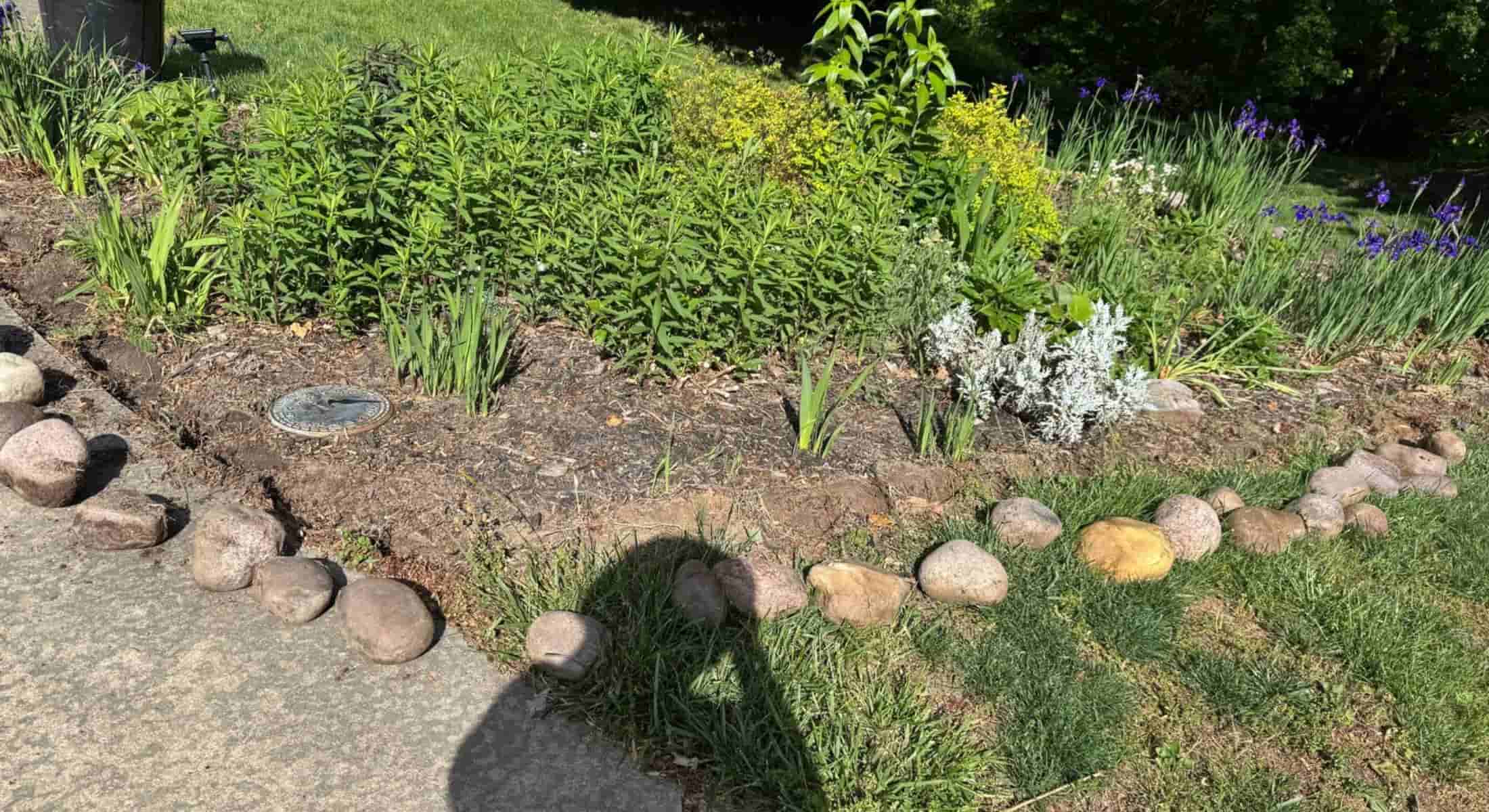 Before front garden landscaping Asheville NC