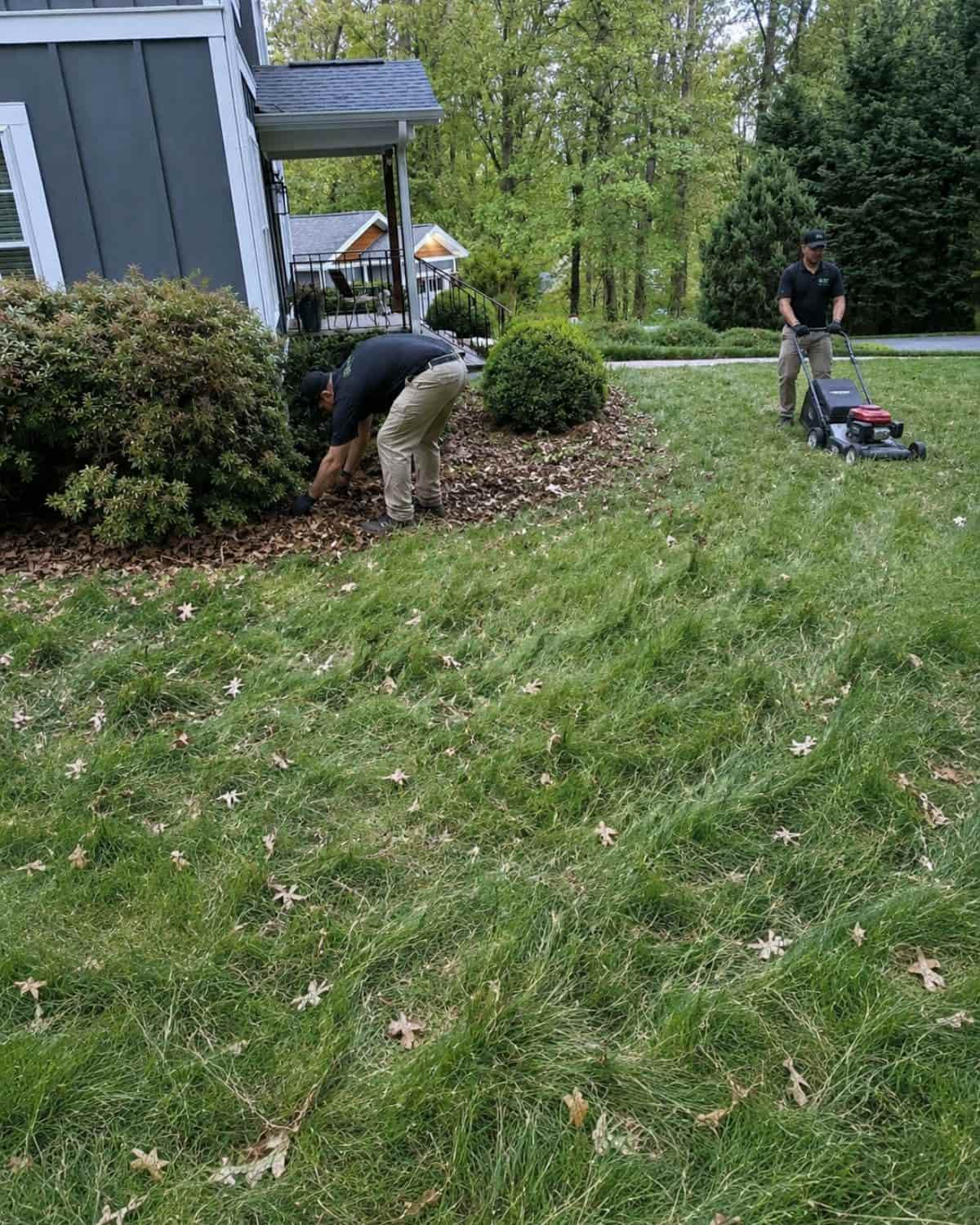Before garden bed mulching Asheville NC