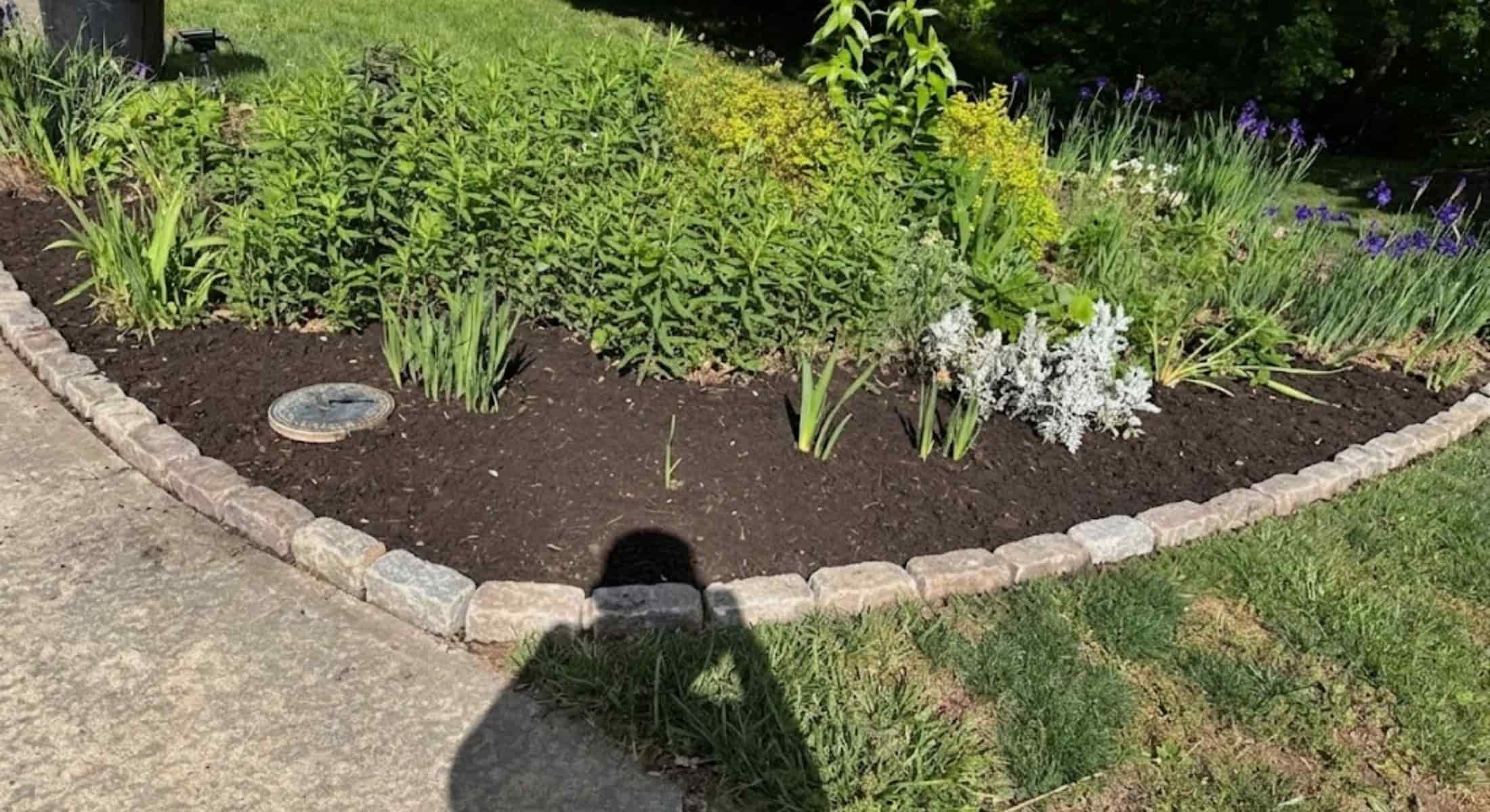 After front garden landscaping Asheville NC by PLG Lawn Services