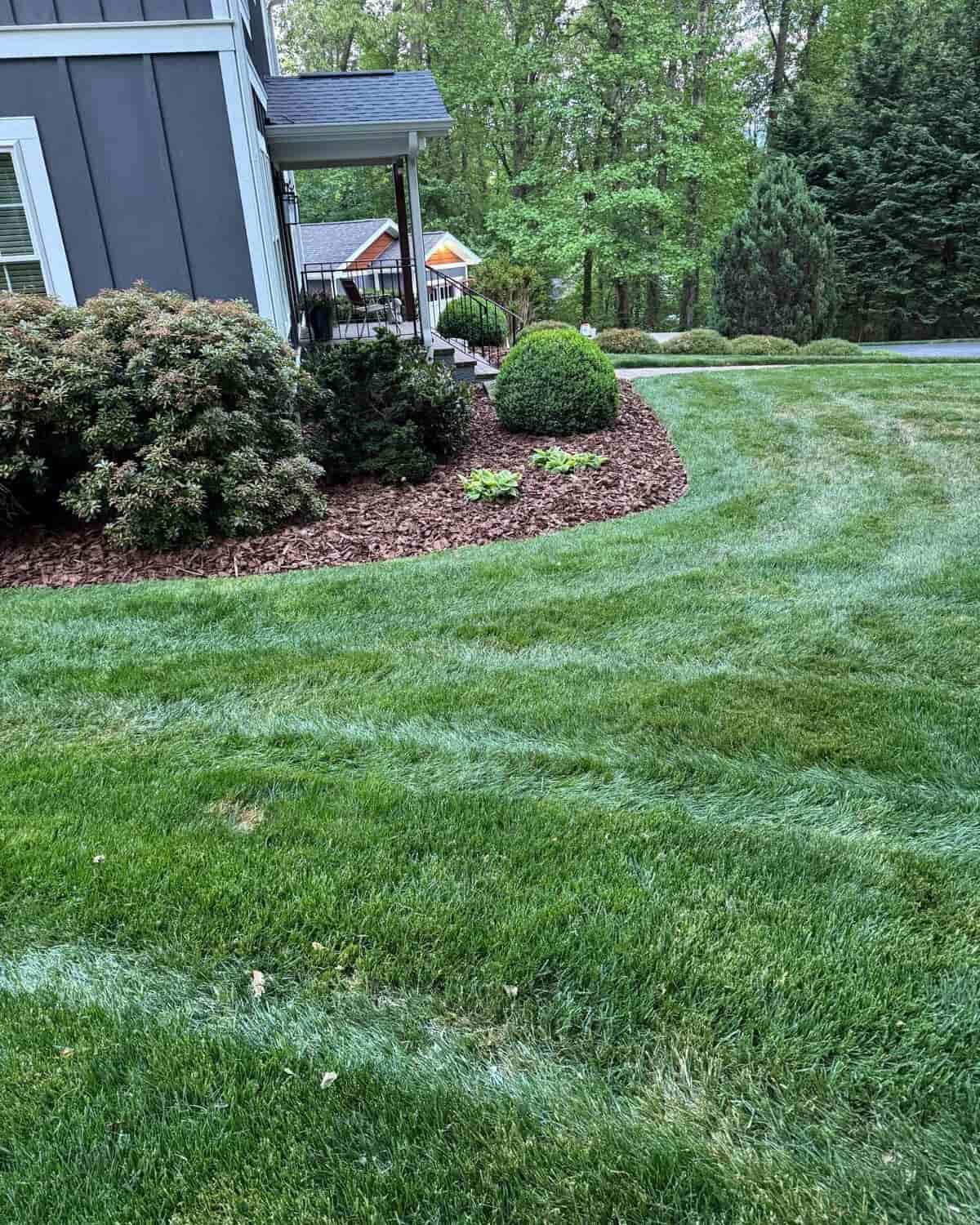 After garden bed mulching Asheville NC by PLG Lawn Services