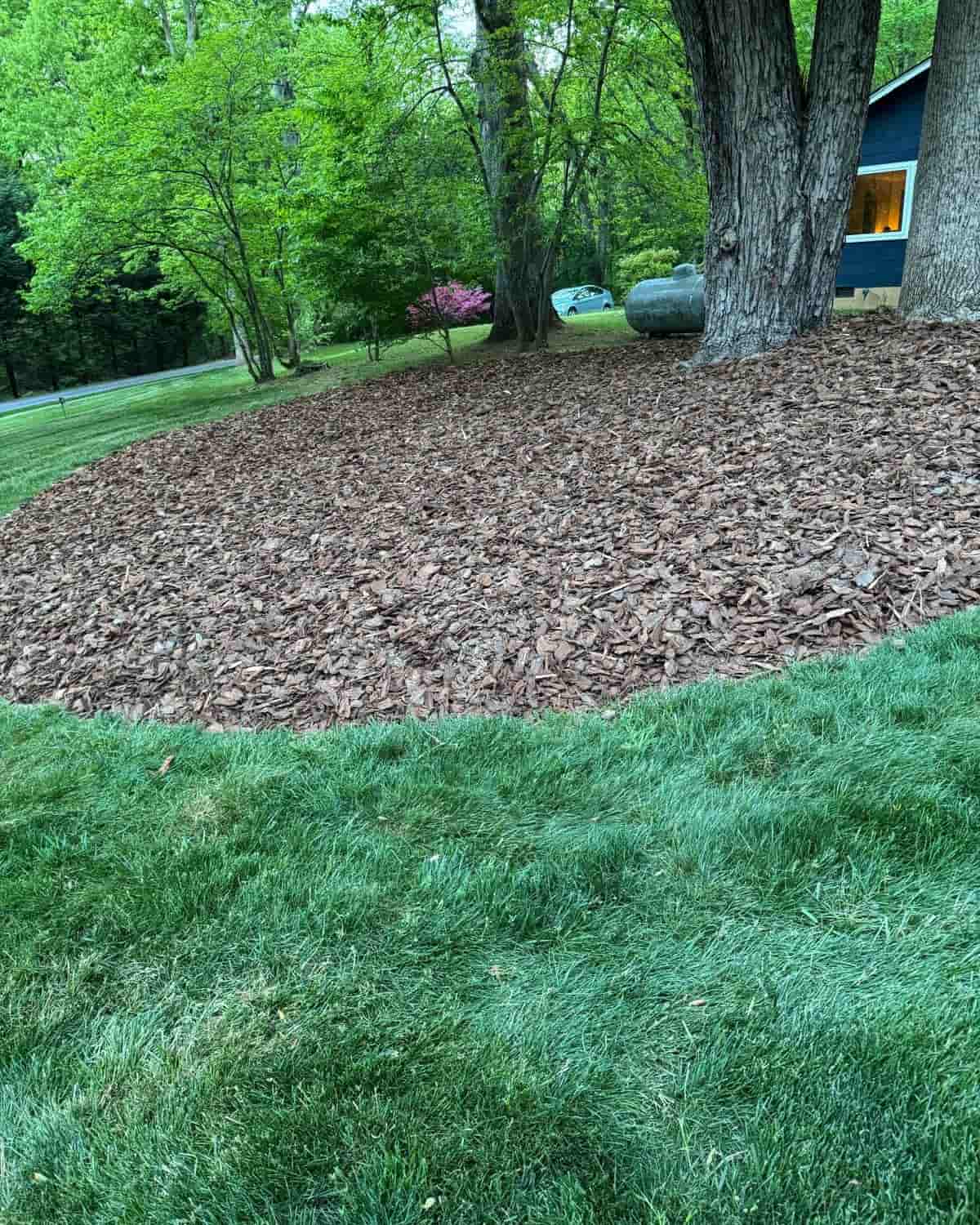 Mulching Asheville NC by PLG Lawn Services