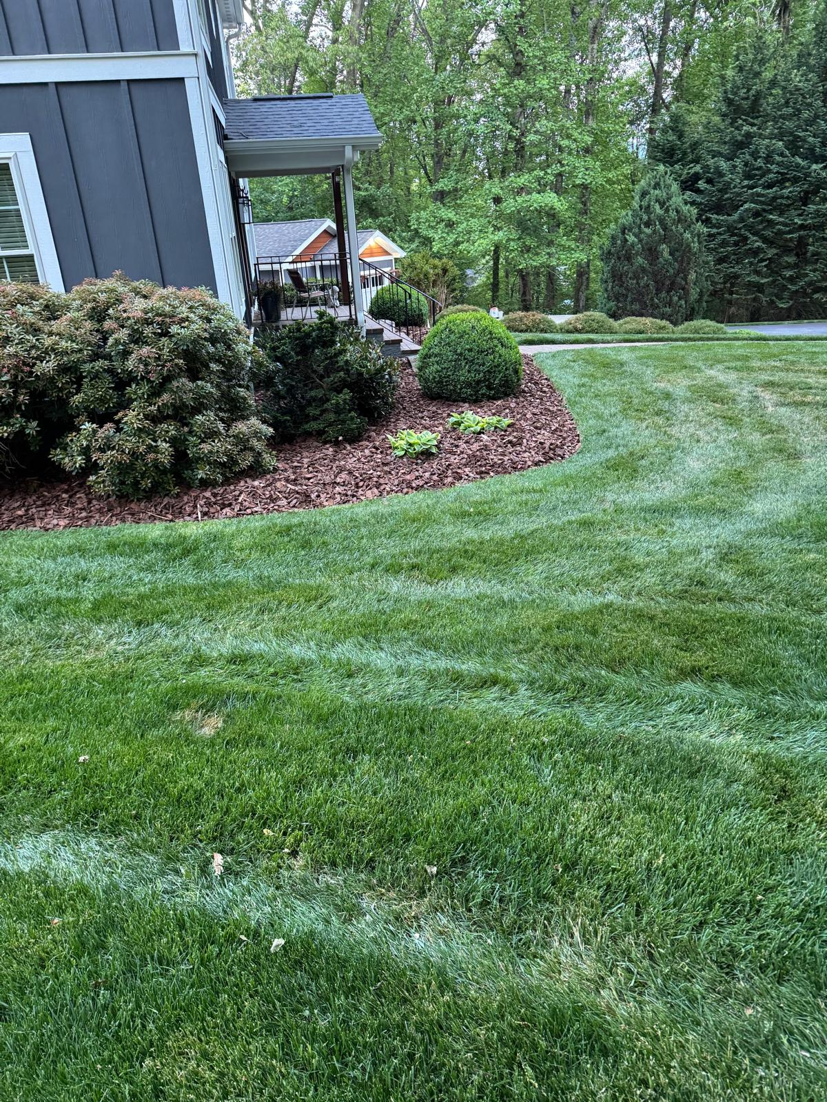 Lawn care Asheville NC mulching detail by PLG Lawn Services